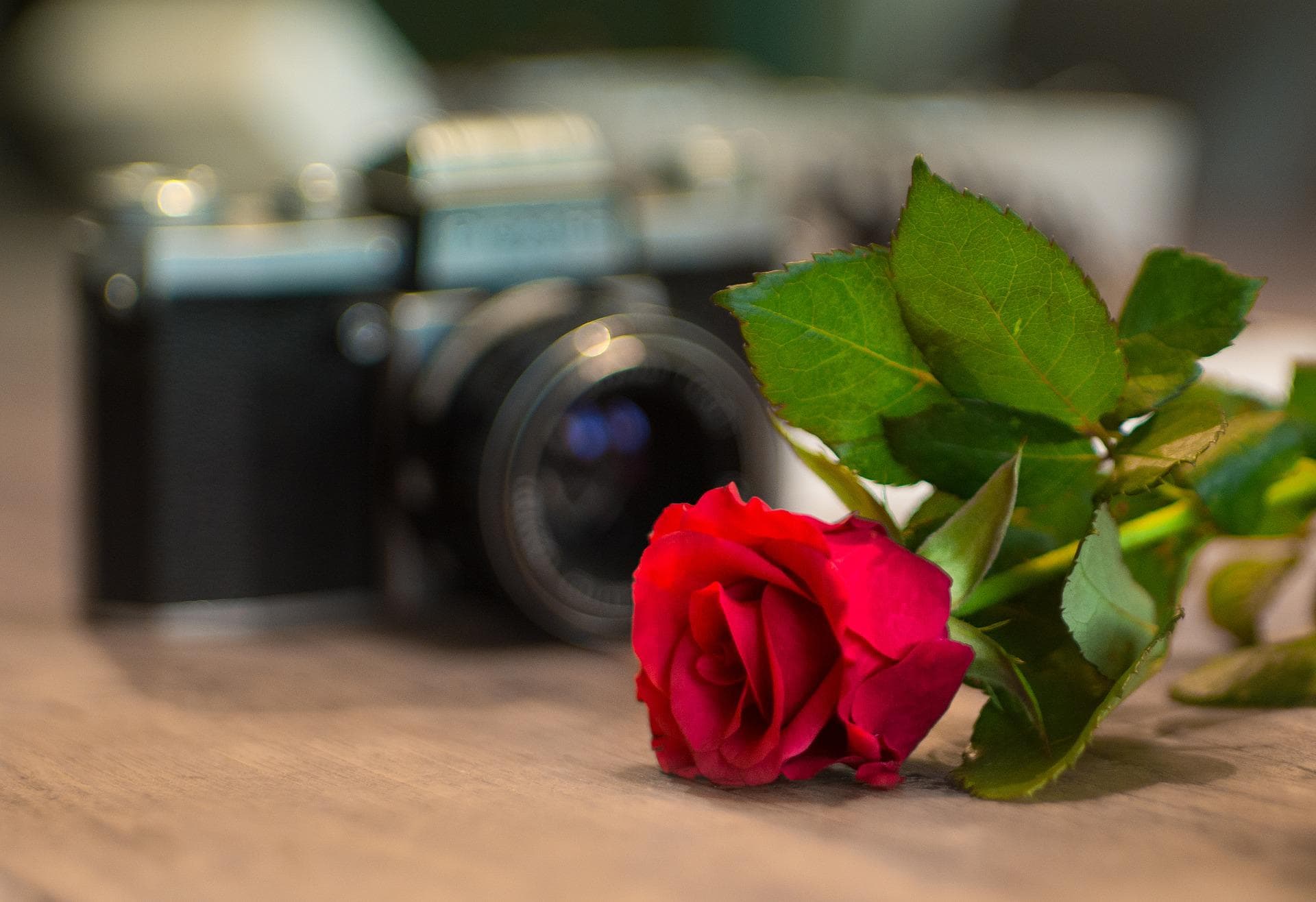 Floral Photo Texted